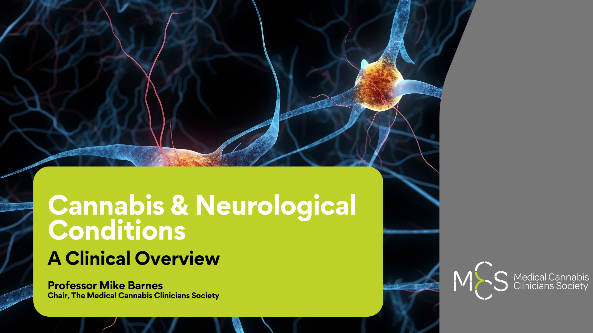 Cannabis & Neurological Conditions: A Clinical Overview